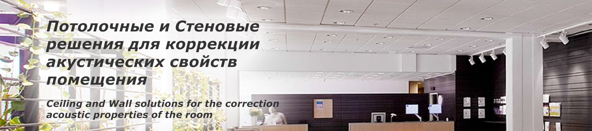 Хольц Аудио звукоизоляция и акустика помещений